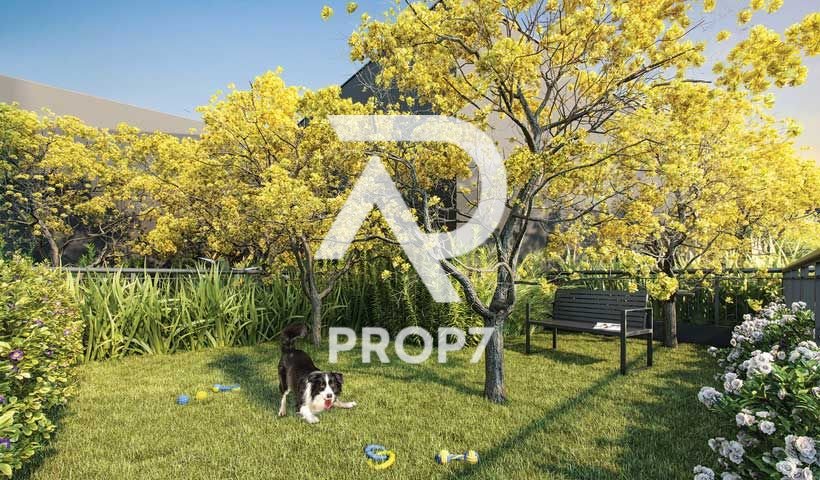Imagem da propriedade AP11277 13